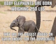 FB_IMG_1755391401722.jpg