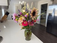 IMG_3045.jpeg