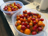 IMG_3304.jpeg