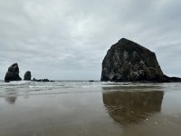 IMG_0817.jpeg