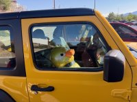 Duck2.jpg