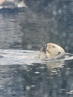 IMG_3629.jpeg