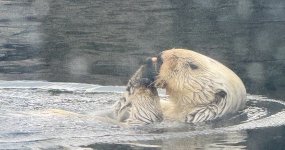 IMG_3629.jpeg