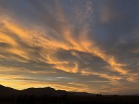 IMG_4570.jpeg