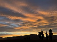 IMG_4572.jpeg