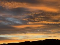 IMG_4573.jpeg