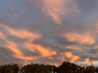 IMG_4574.jpeg