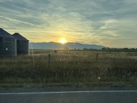 IMG_2375.jpeg
