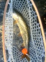 IMG_6787.jpeg