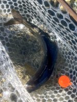 IMG_6788.jpeg