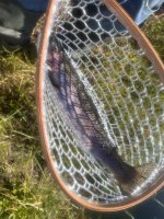 IMG_6840.jpeg