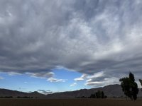 IMG_4575.jpeg