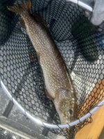 IMG_6887.jpeg