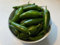 IMG_3309.jpeg