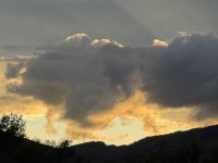 IMG_4587.jpeg