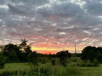 IMG_0527.jpeg