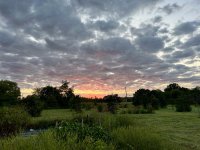 IMG_0526.jpeg