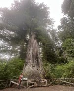 IMG_0869.jpeg