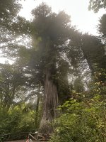 IMG_0873.jpeg