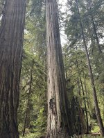 IMG_0875.jpeg
