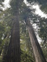 IMG_0876.jpeg