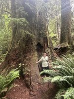 IMG_0877.jpeg