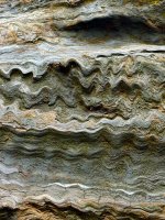 IMG_3741.jpeg