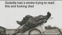 IMG_2772.jpeg