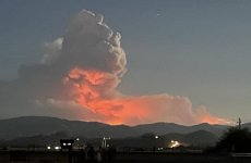 IMG_2785.jpeg