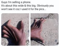 IMG_2813.jpeg