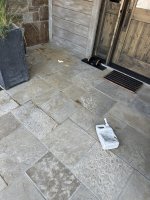 IMG_2305.jpeg