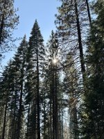 IMG_9270.jpeg
