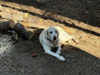IMG_9271.jpeg