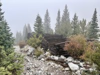 IMG_6639.jpeg