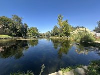 IMG_0947.jpeg