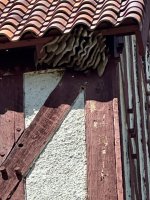 IMG_0962.jpeg