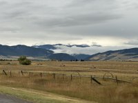 IMG_2557.jpeg