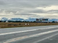 IMG_2549.jpeg