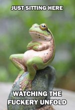 FB_IMG_1742414615261.jpg