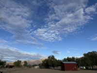 IMG_4736.jpeg