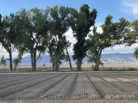 IMG_4738.jpeg