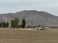 IMG_4748.jpeg