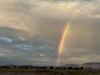 IMG_4776.jpeg
