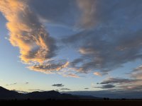 IMG_4790.jpeg