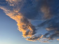IMG_4791.jpeg