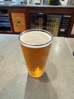 IMG_8594.jpeg