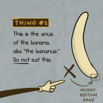 b4.png