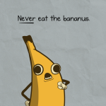 b5.png