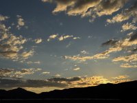 IMG_4817.jpeg