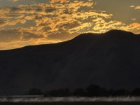 IMG_4818.jpeg